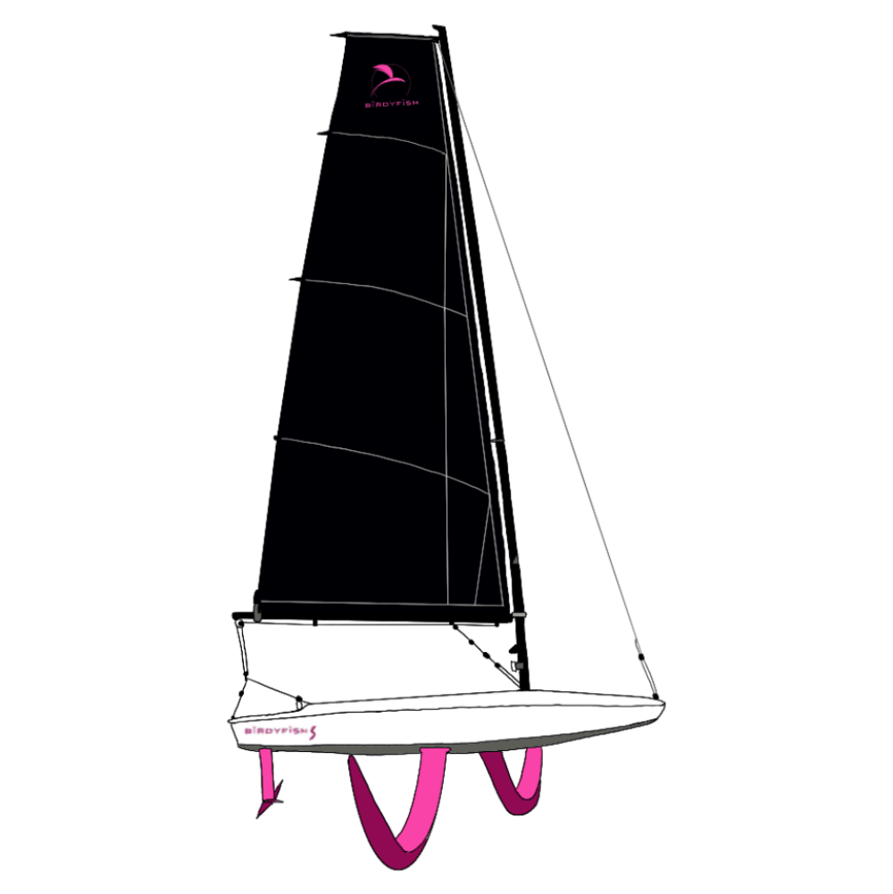 boat_birdyfish_S