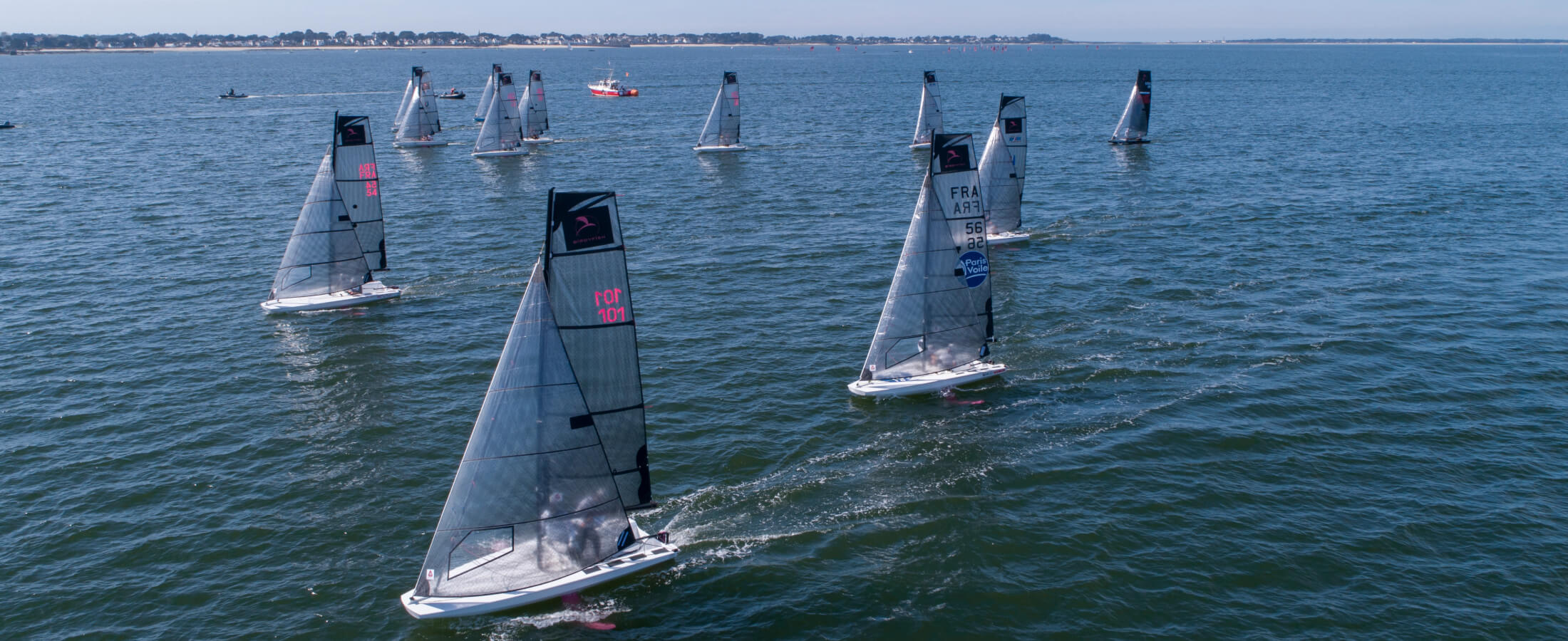 birdyfish_regatta