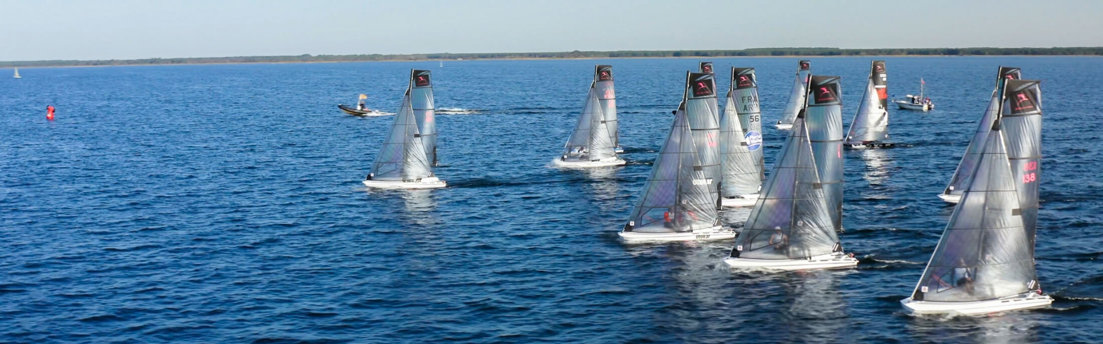 birdyfish_regatta2